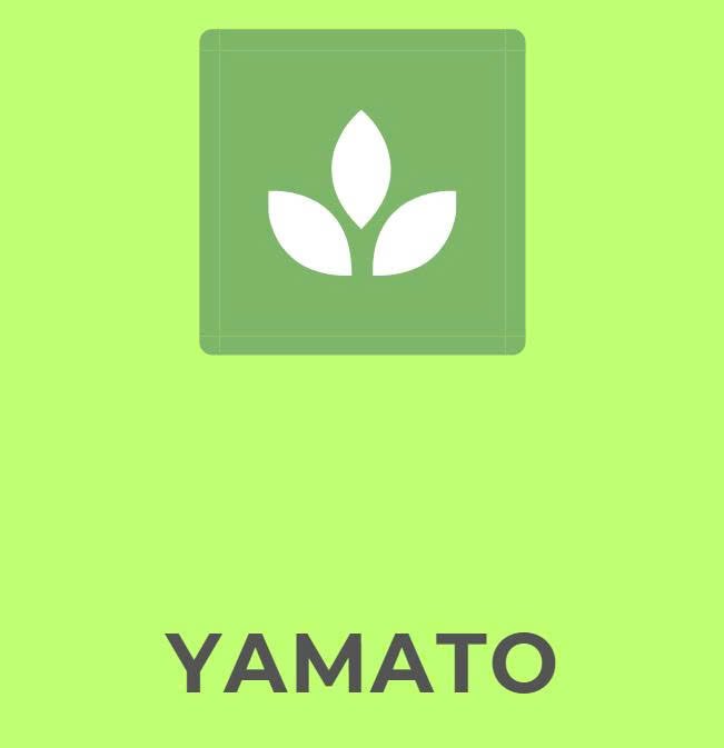 yamato.basicshippinginc.com